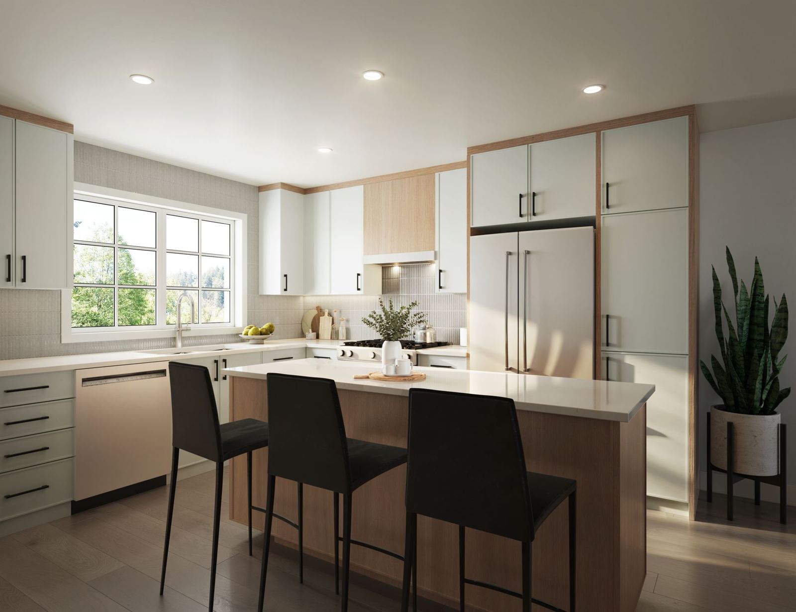 3909 Cedar Hill, rendering 1
